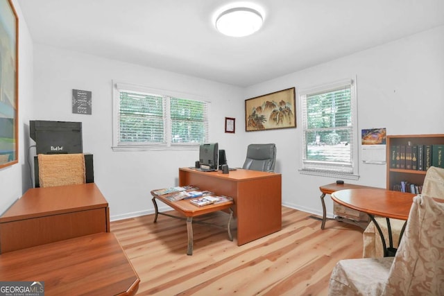 office space featuring a healthy amount of sunlight and light hardwood / wood-style floors