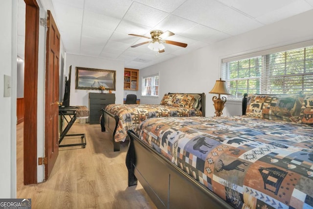 bedroom featuring multiple windows, ceiling fan, a drop ceiling, and light wood-type flooring