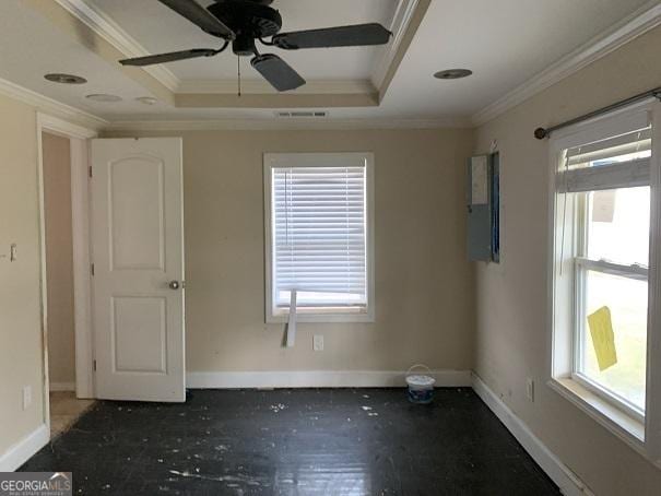 empty room featuring a tray ceiling, plenty of natural light, and ornamental molding