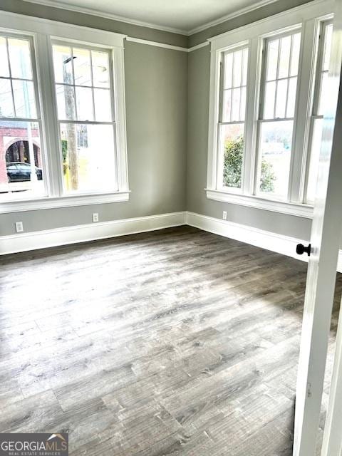 spare room featuring hardwood / wood-style flooring and ornamental molding