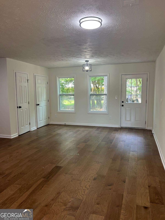 entryway featuring a textured ceiling, dark hardwood / wood-style flooring, and a healthy amount of sunlight