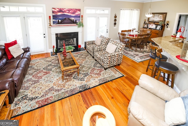 living room featuring a fireplace and wood finished floors