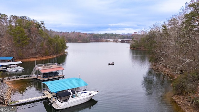 dock area featuring a water view and a view of trees