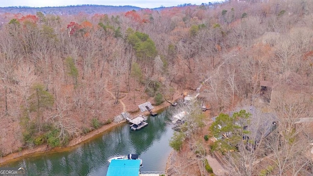 bird's eye view with a view of trees and a water view