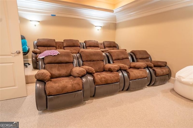 carpeted cinema room featuring a raised ceiling and crown molding