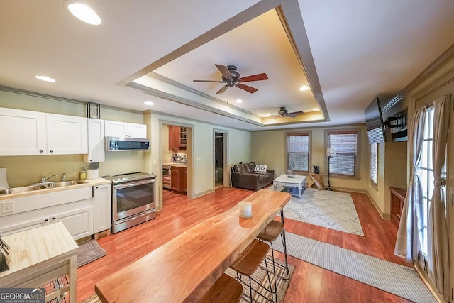 kitchen featuring a raised ceiling, white cabinetry, and stainless steel appliances