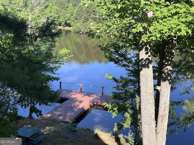 water view with a dock