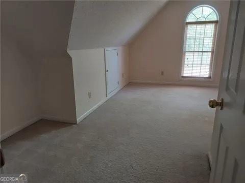 additional living space featuring light carpet and vaulted ceiling