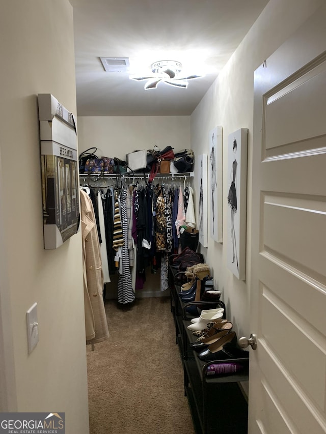 walk in closet featuring carpet floors