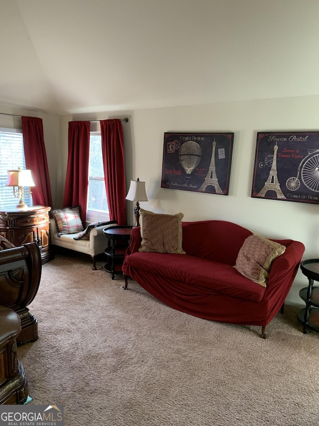 carpeted living room featuring a wealth of natural light