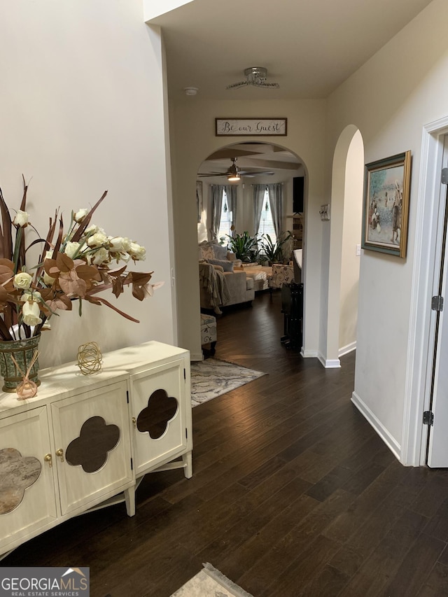 hall featuring dark hardwood / wood-style flooring