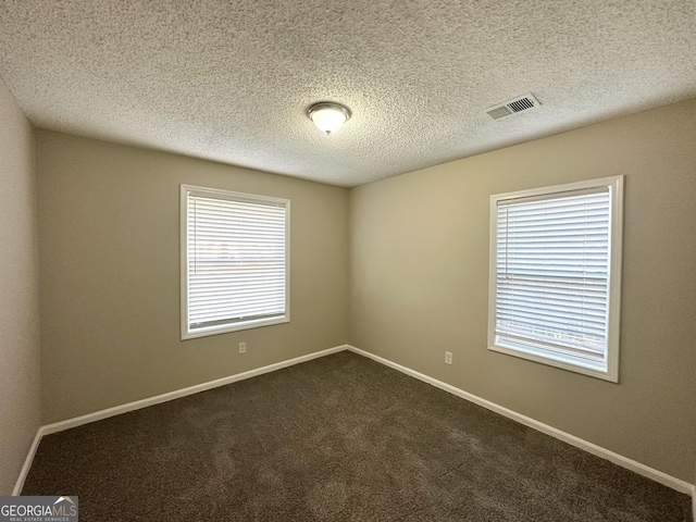 carpeted spare room with a wealth of natural light and a textured ceiling