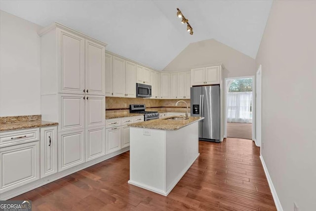 kitchen featuring light stone countertops, appliances with stainless steel finishes, dark hardwood / wood-style flooring, sink, and a center island with sink