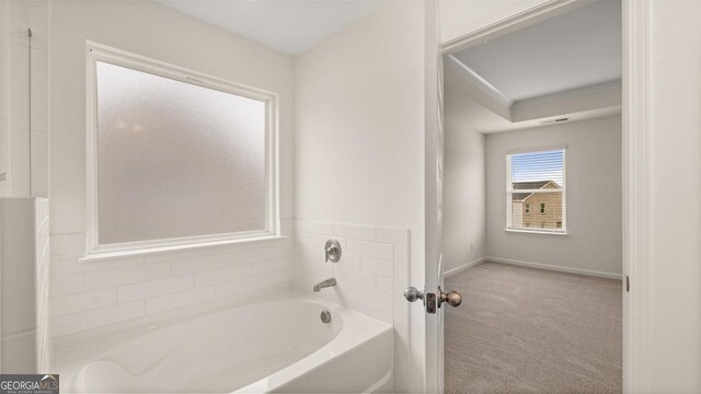 bathroom featuring a bathing tub