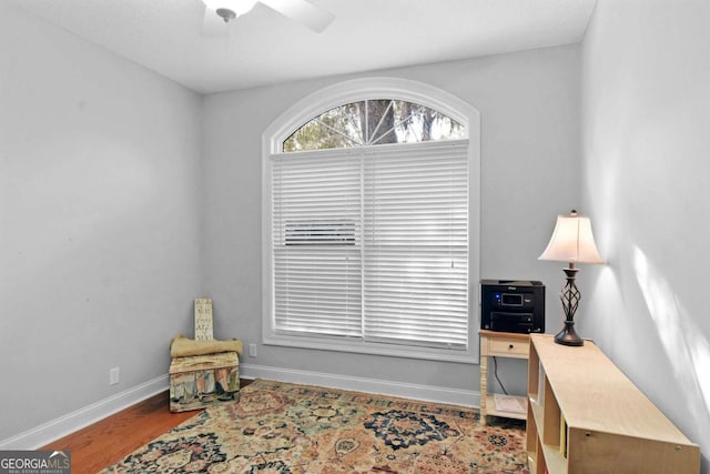 office area featuring ceiling fan and hardwood / wood-style flooring