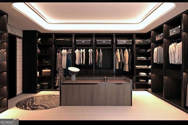 walk in closet featuring a raised ceiling