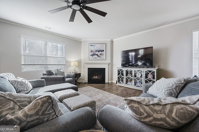 living room featuring ceiling fan, crown molding, and dark wood-type flooring