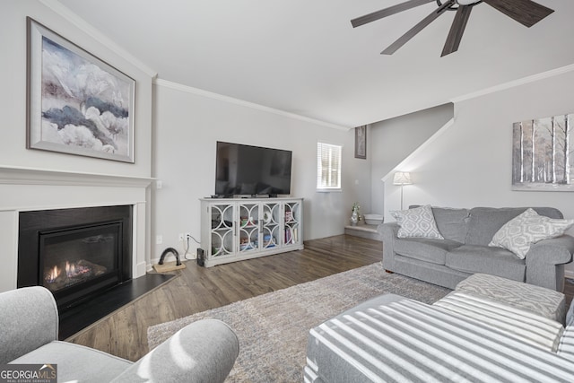 living room featuring ceiling fan, ornamental molding, and dark wood-type flooring