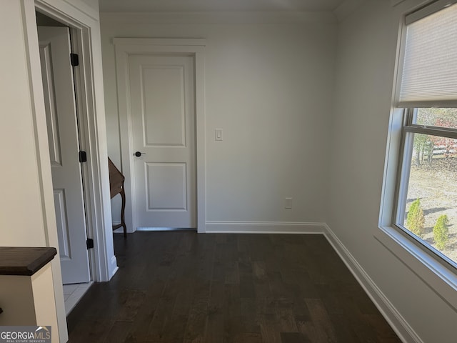 hallway featuring a wealth of natural light and dark hardwood / wood-style floors