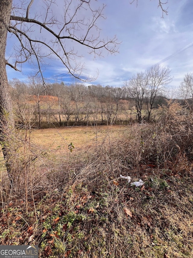 view of landscape featuring a rural view