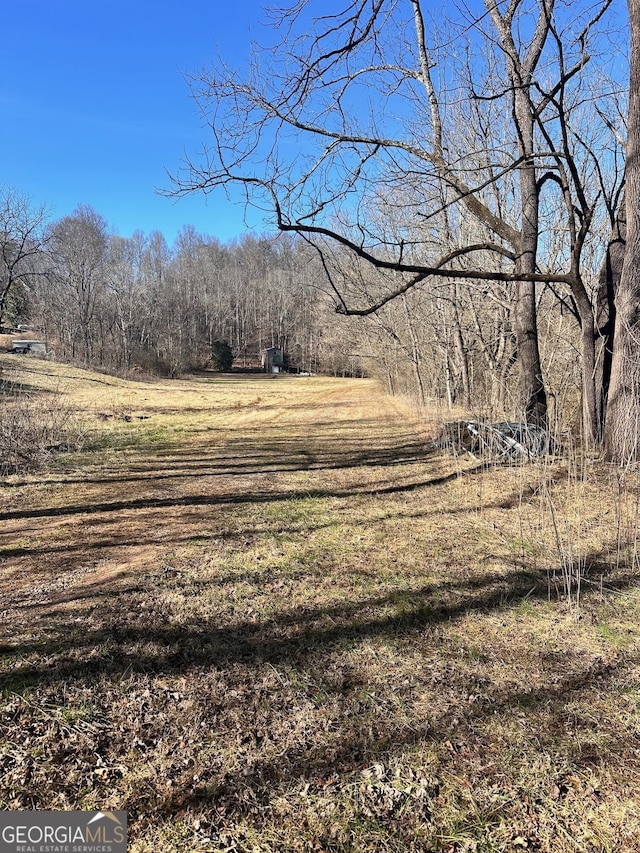 view of local wilderness