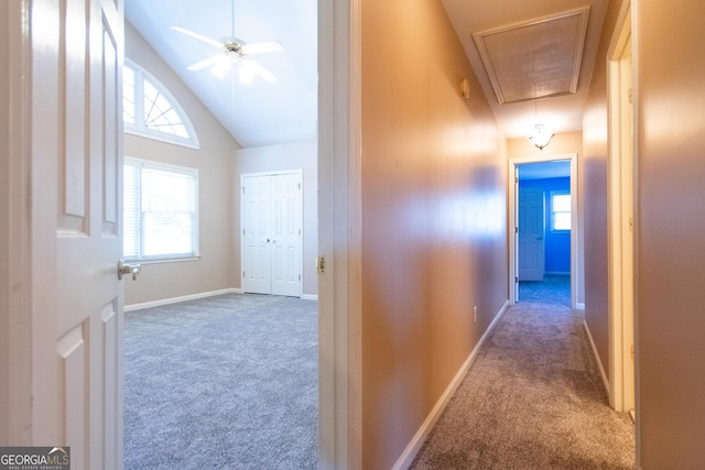 hallway featuring high vaulted ceiling, a healthy amount of sunlight, and dark carpet