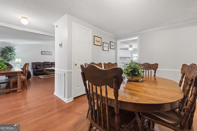 dining space featuring crown molding, light hardwood / wood-style flooring, and a textured ceiling