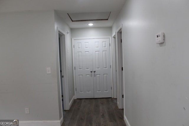 corridor featuring dark hardwood / wood-style flooring