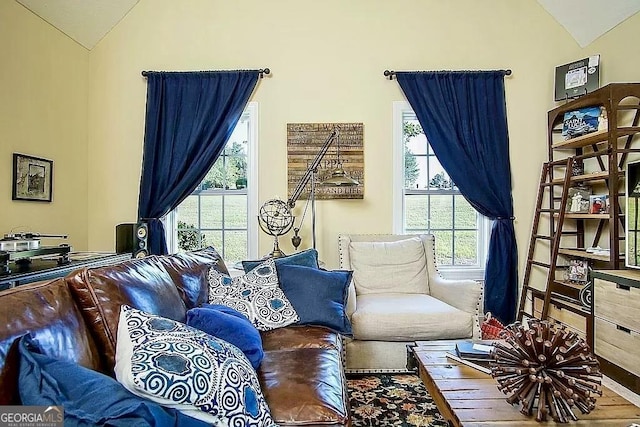 living room featuring hardwood / wood-style flooring and vaulted ceiling