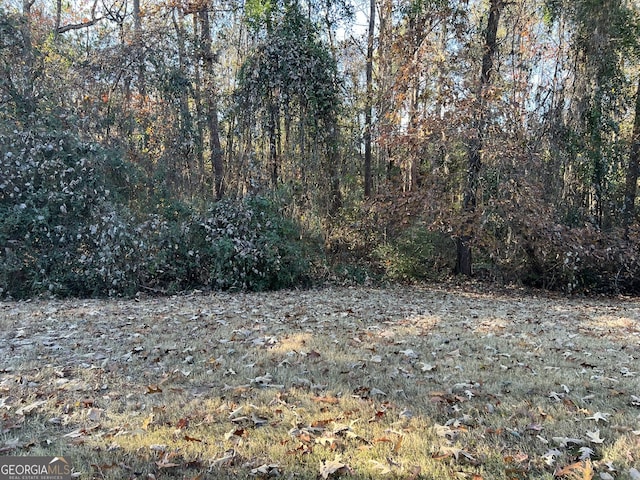 113 Ellis Dr, Conyers, GA 30012 - view of yard