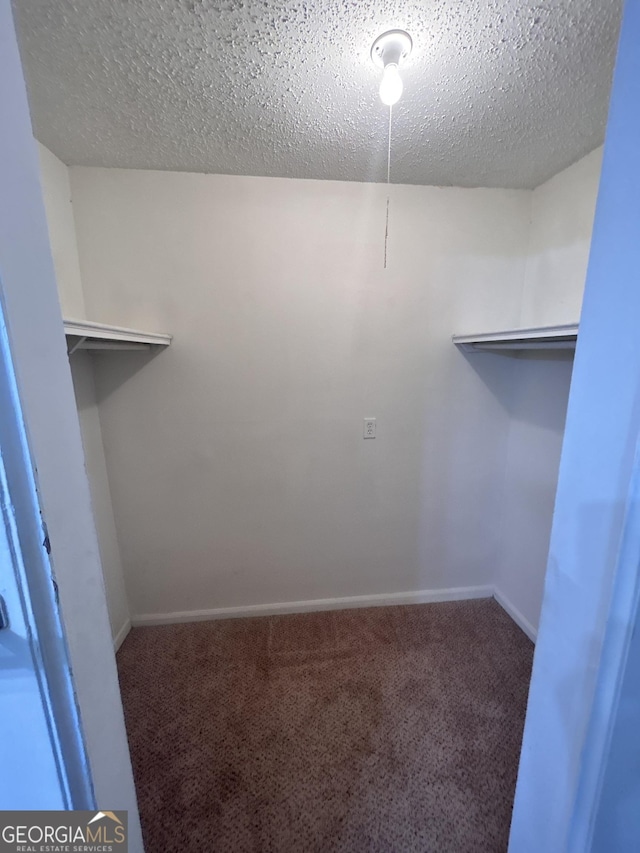 walk in closet featuring carpet flooring