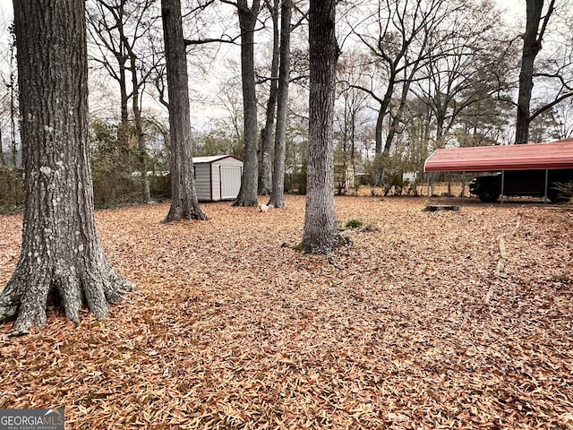 view of yard with a shed and a carport