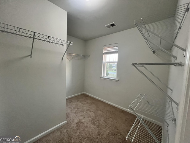 walk in closet featuring carpet