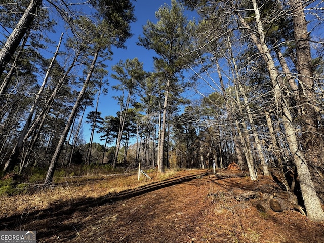 view of nature