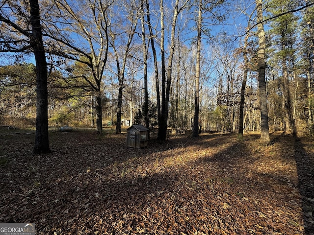 view of local wilderness