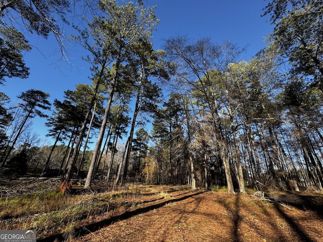 view of local wilderness