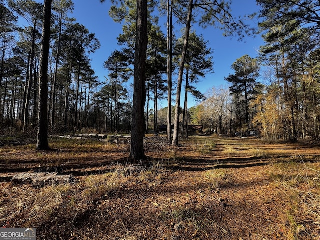 view of local wilderness