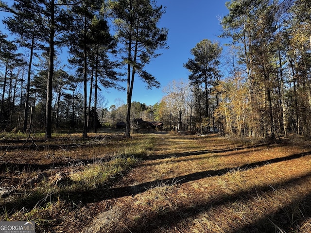 view of local wilderness