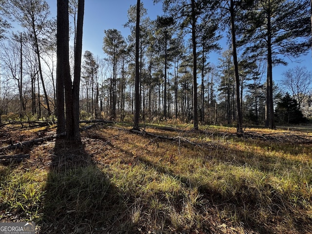 view of local wilderness