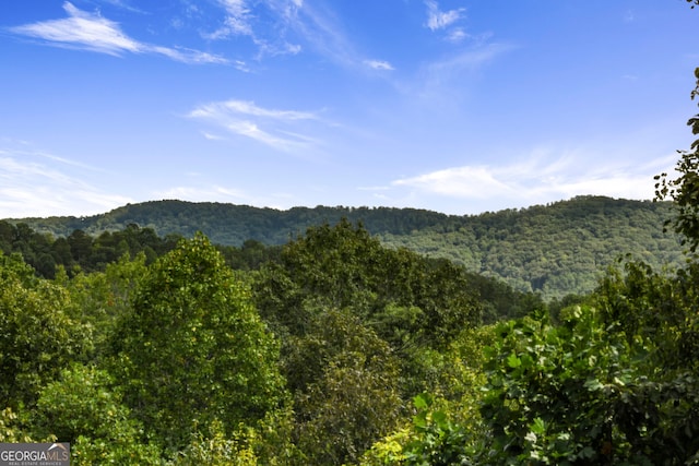 property view of mountains