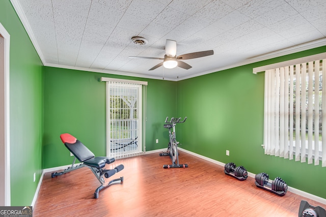 exercise room with a wealth of natural light, crown molding, ceiling fan, and wood-type flooring