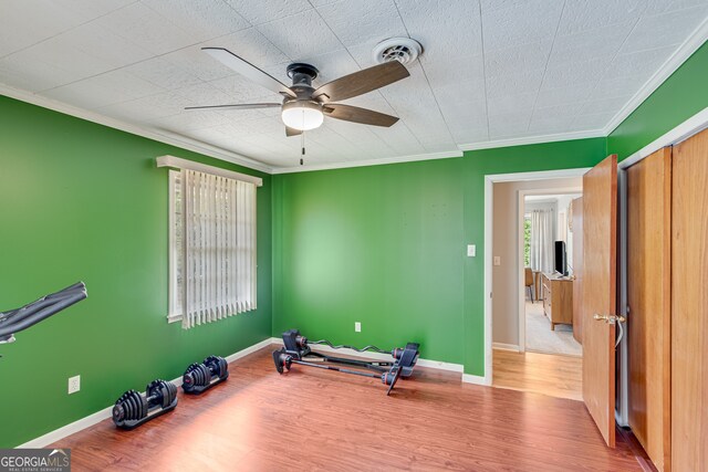 workout area with light hardwood / wood-style flooring, ceiling fan, and ornamental molding