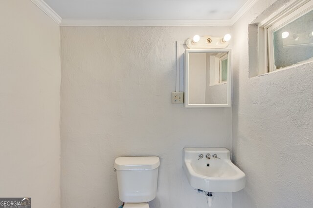 bathroom featuring sink, toilet, and crown molding