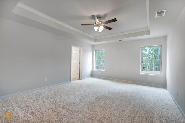 empty room featuring a tray ceiling, light carpet, and plenty of natural light