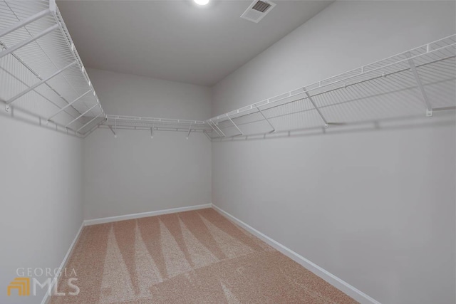 walk in closet featuring carpet floors