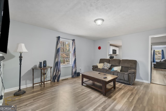 living room featuring wood-type flooring and a textured ceiling