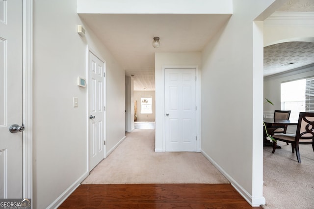 hallway featuring baseboards and carpet floors