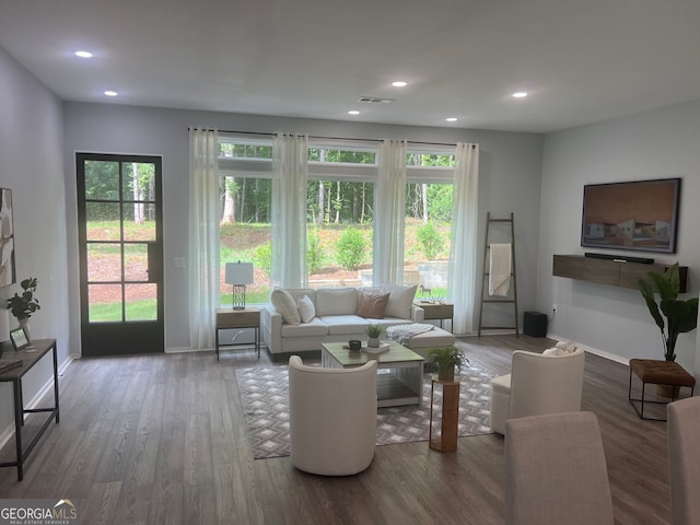 living room featuring hardwood / wood-style floors and a wealth of natural light