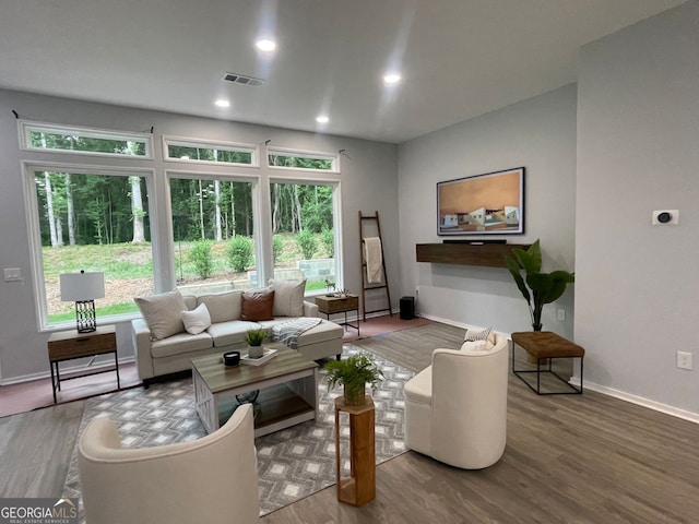 living room featuring wood-type flooring and a wealth of natural light