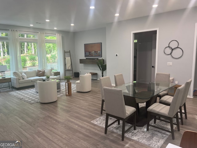 dining room featuring wood-type flooring